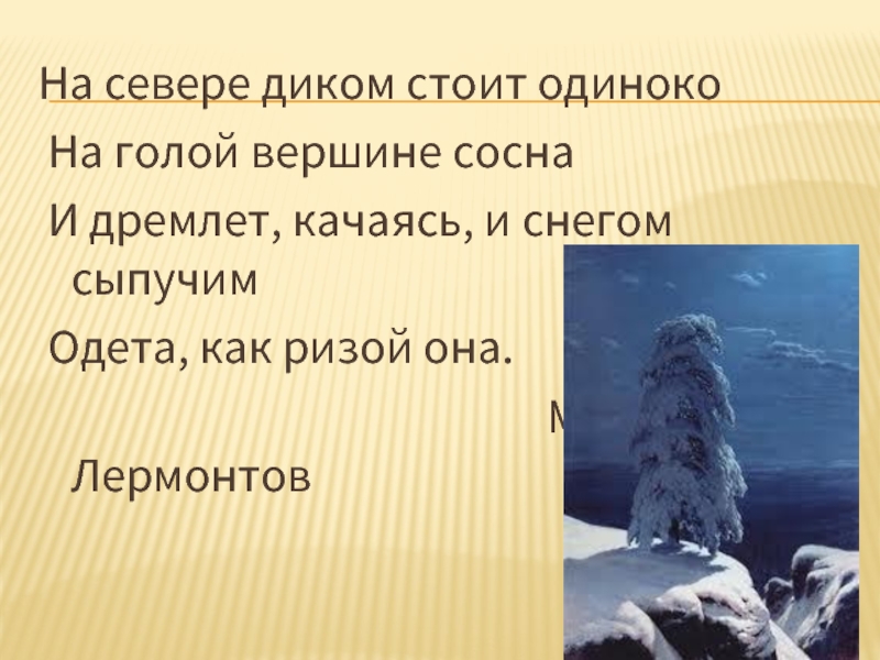 На севере диком стоит одиноко размер стиха