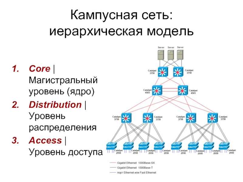 Структурно иерархическая схема гтс зп состоит из уровней