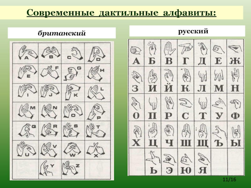 Алфавит глухонемых русский в картинках