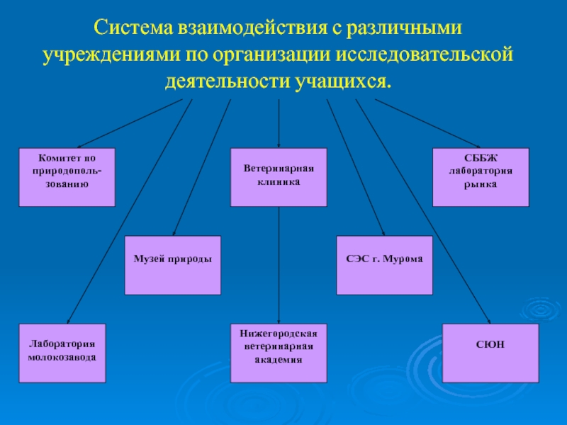 Исследовательских учреждениях образовательных учреждениях. Формы организации исследовательской деятельности учащихся. Система взаимодействия. Модель взаимодействия в исследовательской деятельности школьниками. Система работы учащихся.