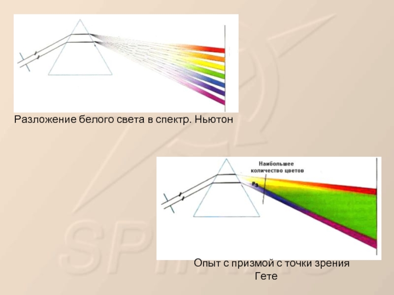 Чтобы разложить белый свет спектр нужно использовать. "Разложение белого света в спектр"? Приборы для лабораторных. Дисперсия световых волн, опыт Ньютона. Разложение света в спектр Ньютон. Опыт Ньютона с призмой дисперсия света.