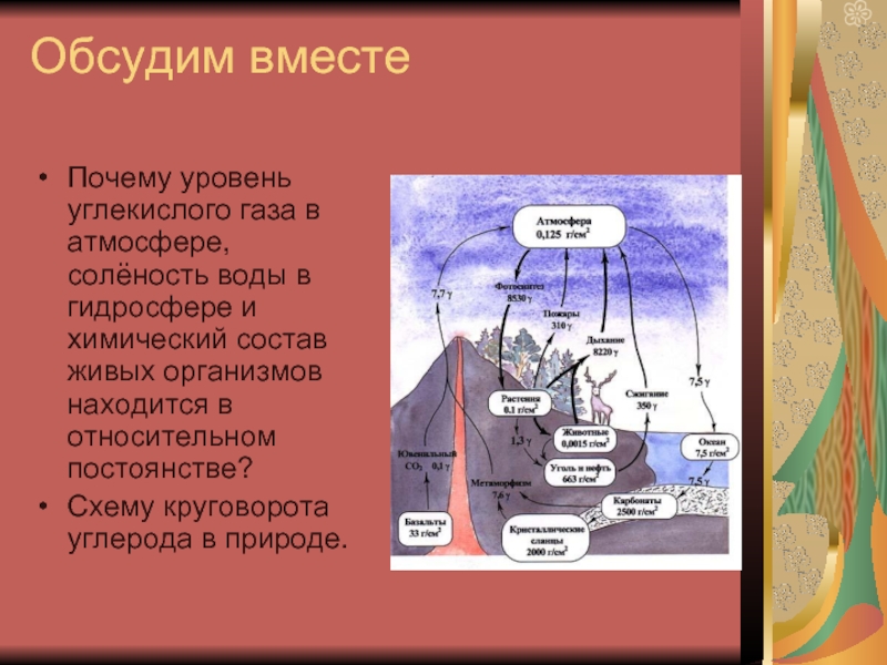 Углекислый газ в гидросфере. Схема углекислого газа. Круговорот углекислого газа в природе. Углекислого газа в атмосфере. Роль углекислого газа в атмосфере.