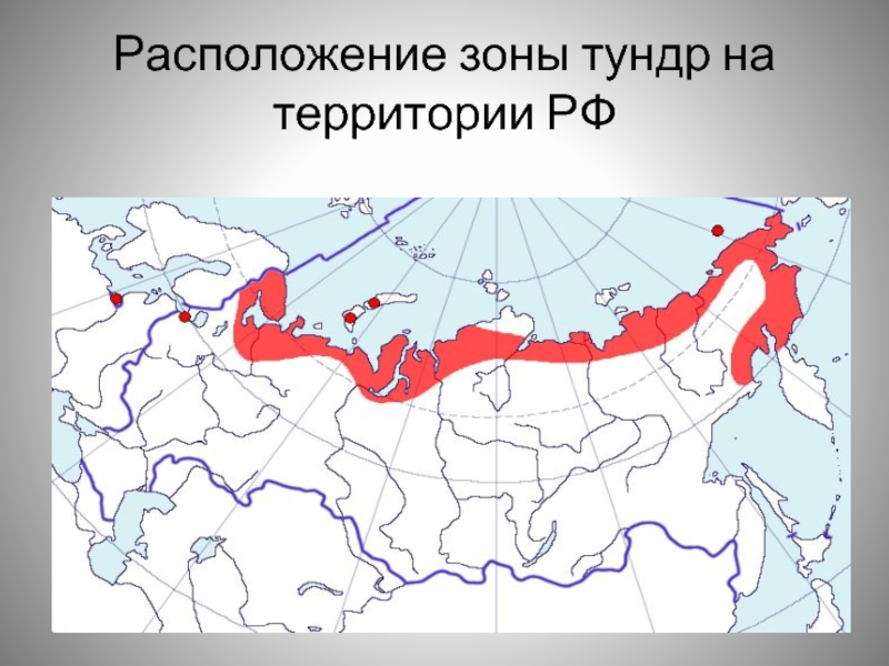 Расположение зоны тундр на территории РФ