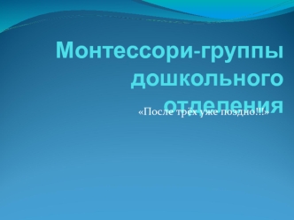 Монтессори-группы дошкольного отделения