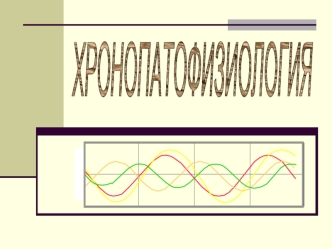 Хронопатофизиология. Биологические ритмы