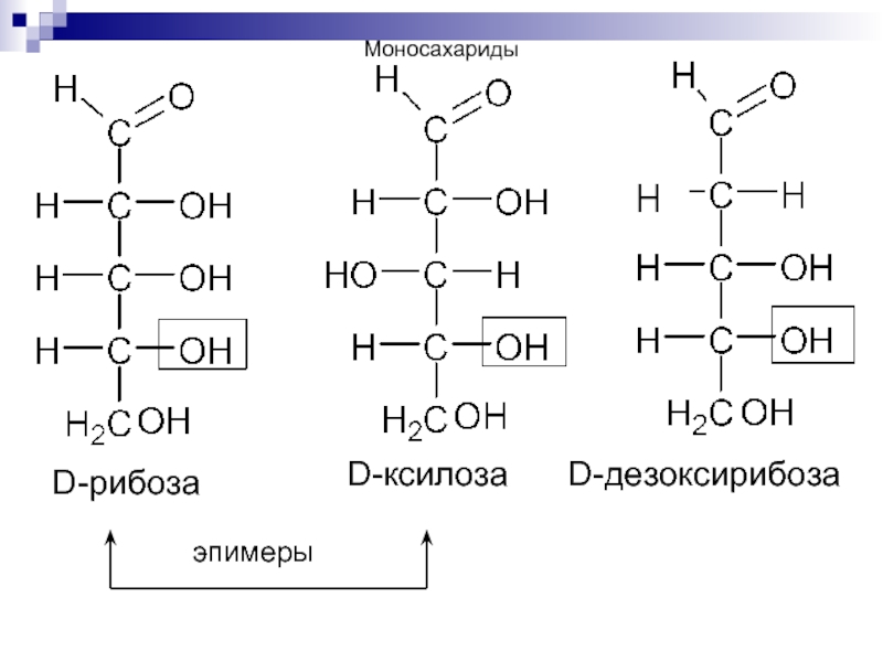 Эпимеры это