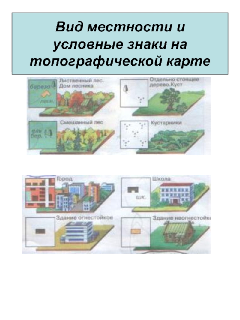 Виды местности. Основные типы местности. Общий вид местности. Классификация типов местности.