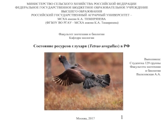 Состояние ресурсов глухаря (Tetrao urogallus) в РФ