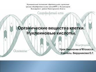 Органические вещества клетки. Нуклеиновые кислоты