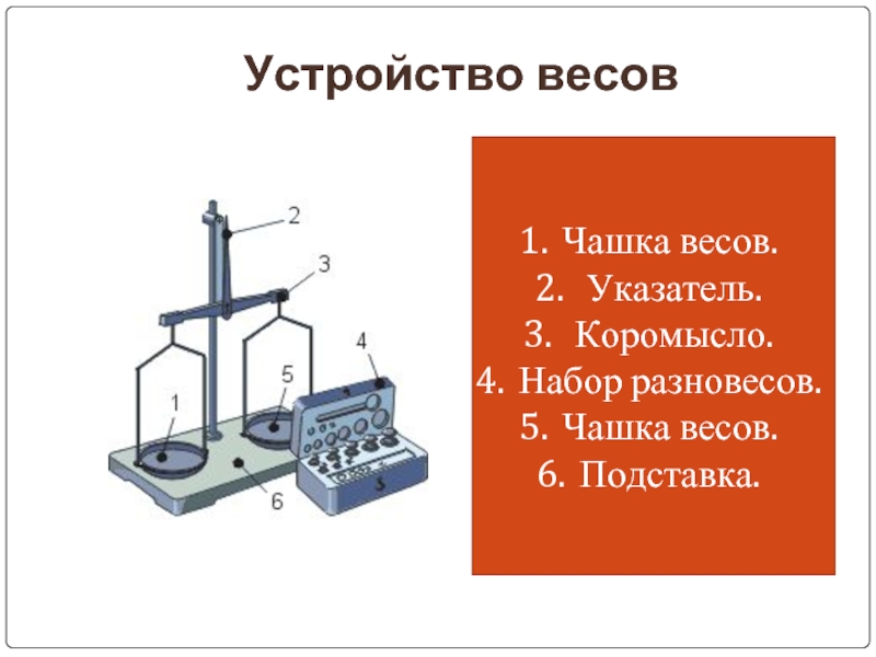 Измерение массы на весах 7 класс. Описание рычажных весов. Устройство весов механических. Строение рычажных весов. Весы рычажные коромысловые.