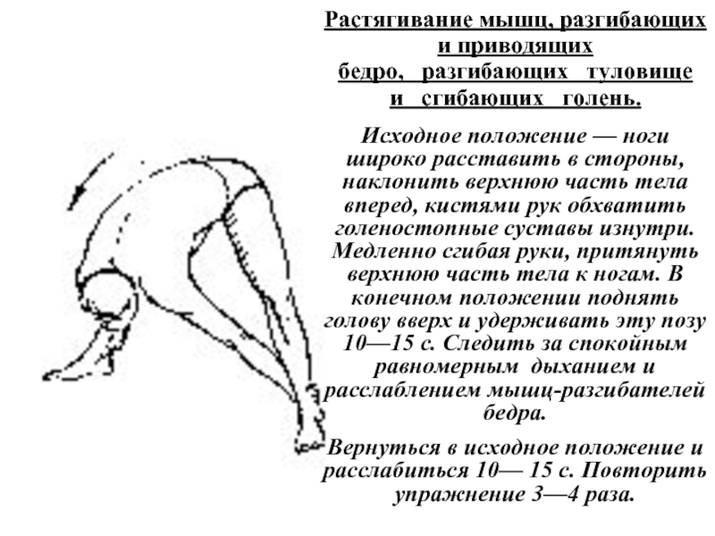 Разгибать сгибать. Растяжка мышц разгибающих голеностопный сустав. Разогнутое положения тела. Вращение в голеностопном суставе исходное положение. Приводит бедро и сгибает бедро.