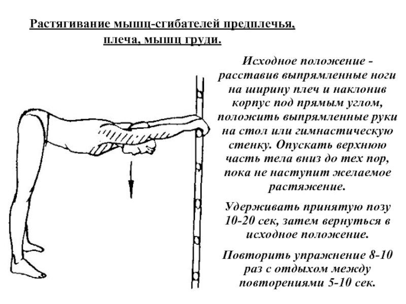 Упражнения на шведской стенке для мужчин со схемами упражнений