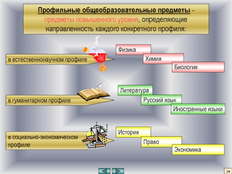 Общеобразовательные предметы. Профильные общеобразовательные дисциплины это. Профиль литературы. Профильно дополнительный предмет.