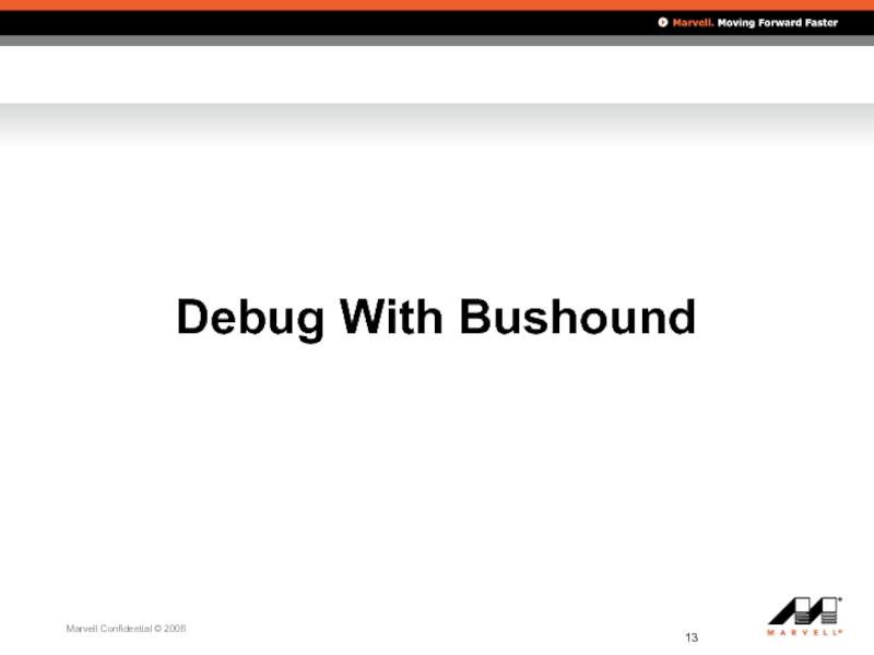 Debug With Bushound