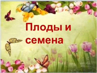 Плоды и семена