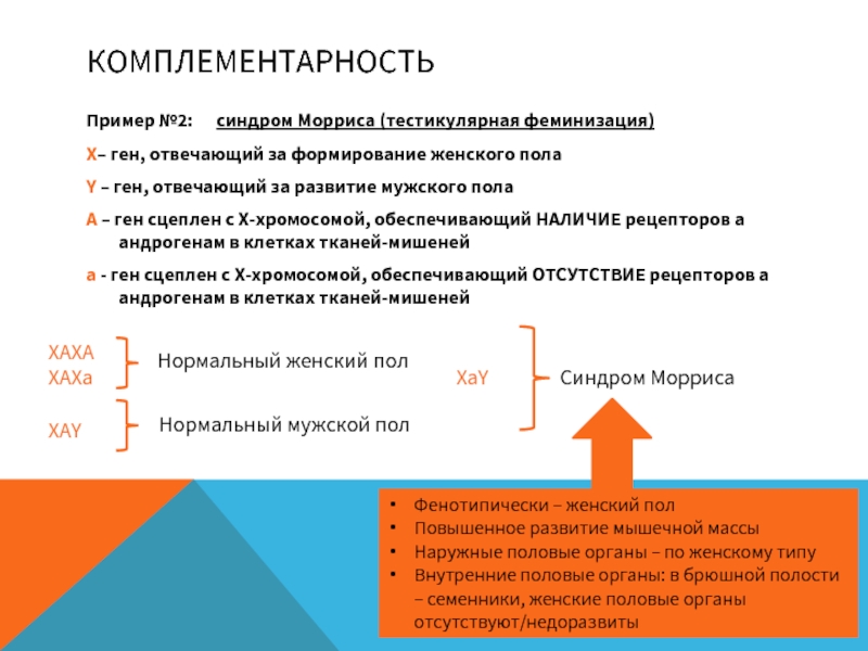 Гены ответственные за развитие