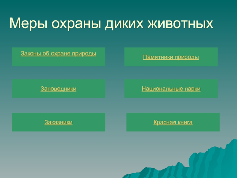 Законы россии об охране животного мира презентация