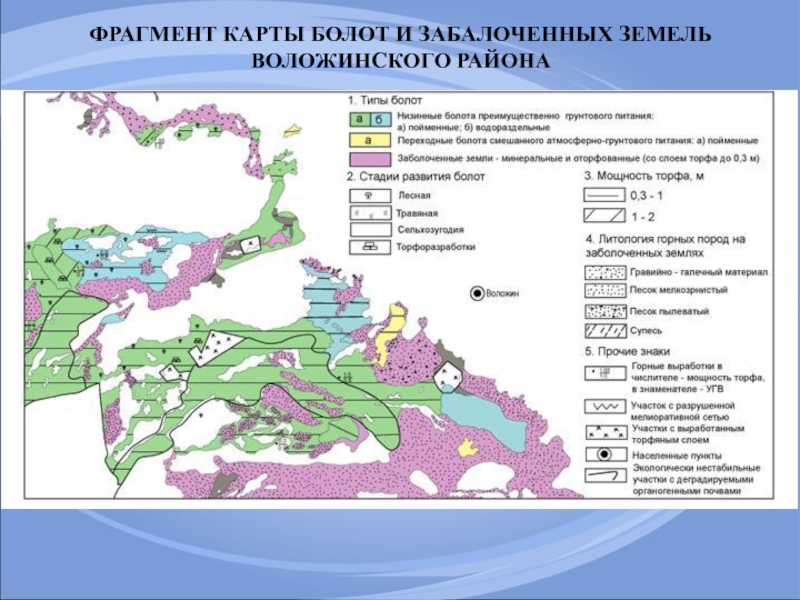 Карта болот москвы