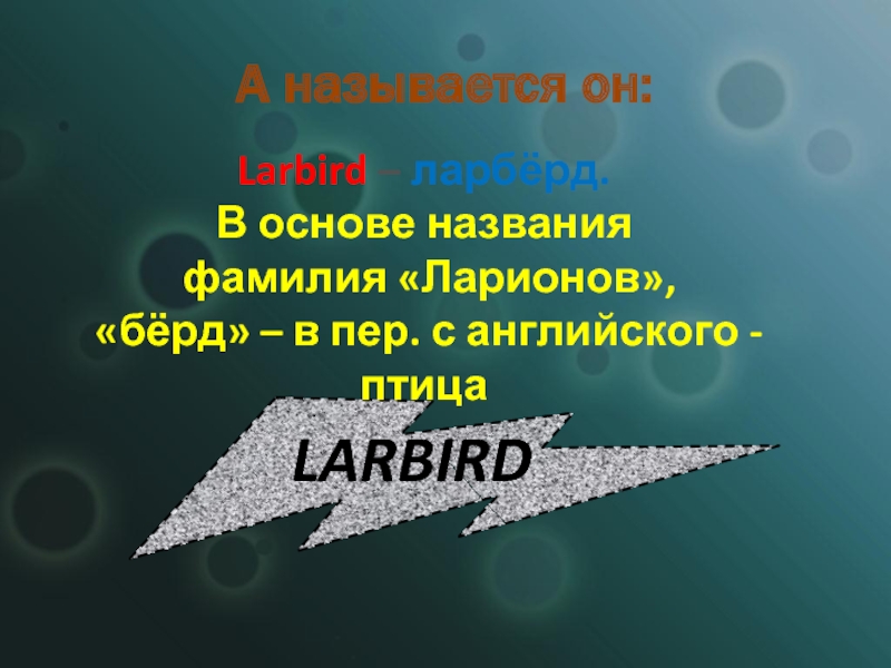 А называется он: Larbird – ларбёрд. В основе названия  фамилия «Ларионов»,
