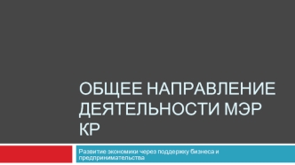 Общее направление деятельности мэр кр