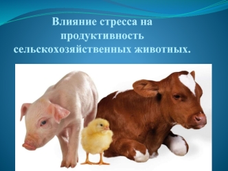 Влияние стресса на продуктивность сельскохозяйственных животных