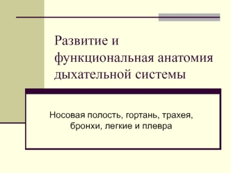 Развитие и функциональная анатомия дыхательной системы