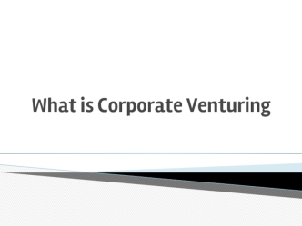 What is Corporate Venturing