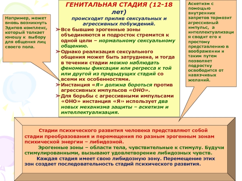 Стадии психического развития. Основные этапы психического развития человека включают.