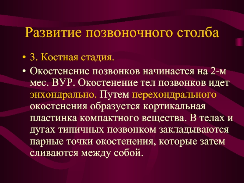 Развитие позвоночного столба. Точки окостенения позвонков. 3. Развитие позвоночного столба. Энхондральное окостенение этапы.