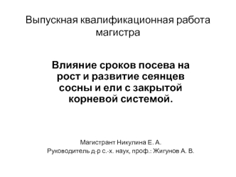 Влияние сроков посева на рост и развитие сеянцев сосны и ели с закрытой корневой системой