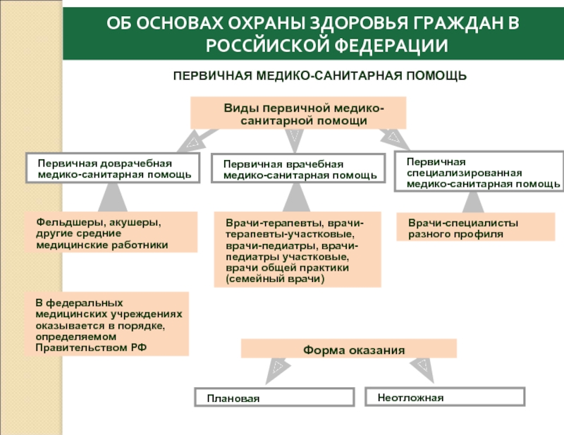 Медицинские организации первичной медико санитарной помощи