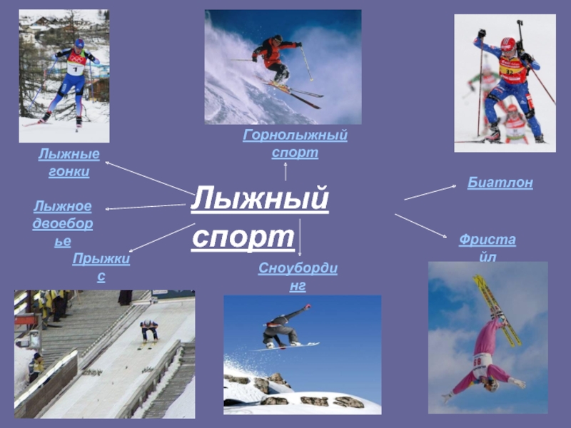 Лыжный спортГорнолыжныйспортЛыжныегонкиПрыжки с трамплинаЛыжное двоеборьеФристайлСноубордингБиатлон