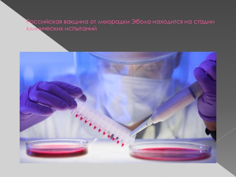 Российская вакцина от лихорадки Эбола находится на стадии клинических испытаний