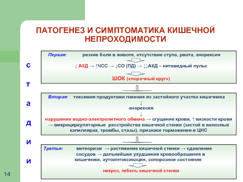 Стул при спайках кишечника