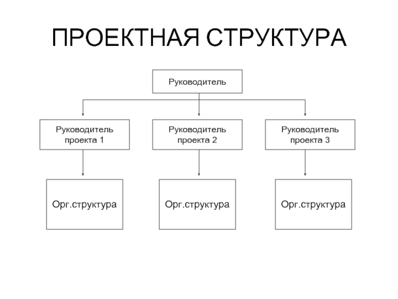 Структура директор