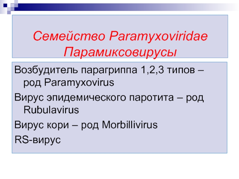 Семейство Paramyxoviridae Парамиксовирусы Возбудитель парагриппа 1,2,3 типов – род