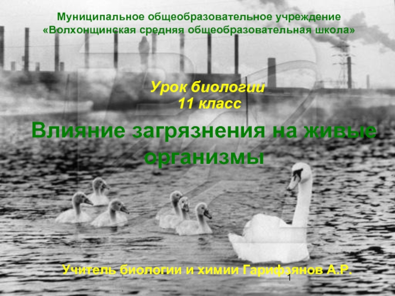 Влияния загрязнения на организмы. Влияние загрязнений на живые организмы 11 класс. Влияние загрязнений на живые организмы презентация 11 класс. Влияние загрязнений на живые организмы урок биологии 11 класс. Влияние загрязнений на живые организмы биология 11 класс тема.