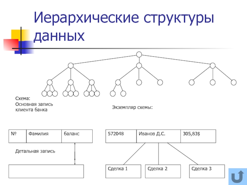 Фамилия схема. Схема иерархии. Иерархическая структура данных. Иерархическая структурная схема. Иерархическое строение.