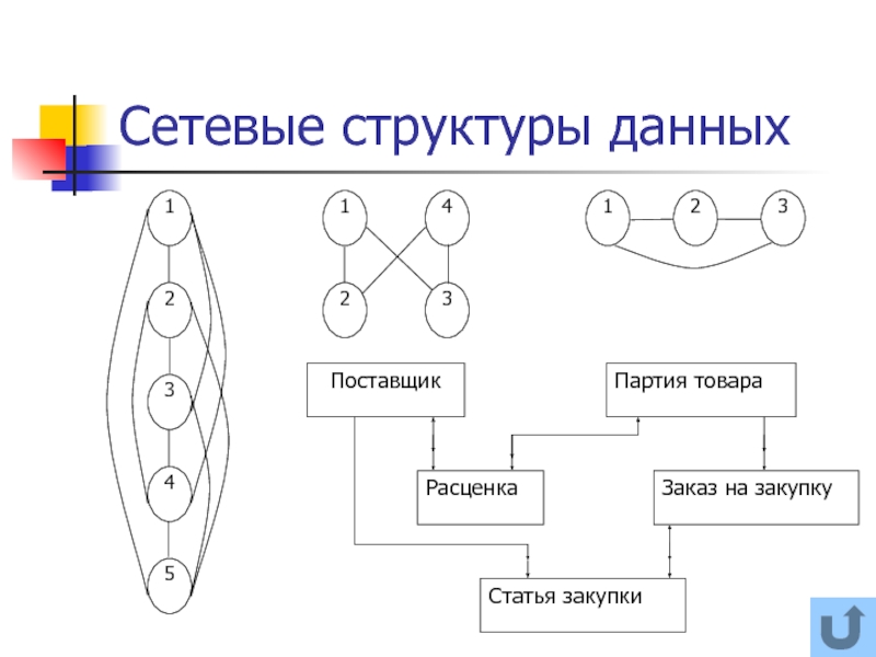 Структура данных 4. Сетевая структура схема. Виды сетевых структур. Сетевая структура данных. Элементы сетевой структуры.