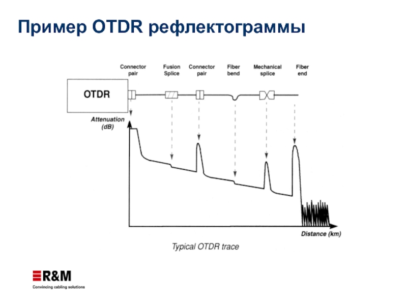 Пример OTDR рефлектограммы
