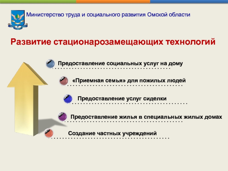 Министерство труда и социального развития Омской области Создание частных учреждений Предоставление социальных услуг на
