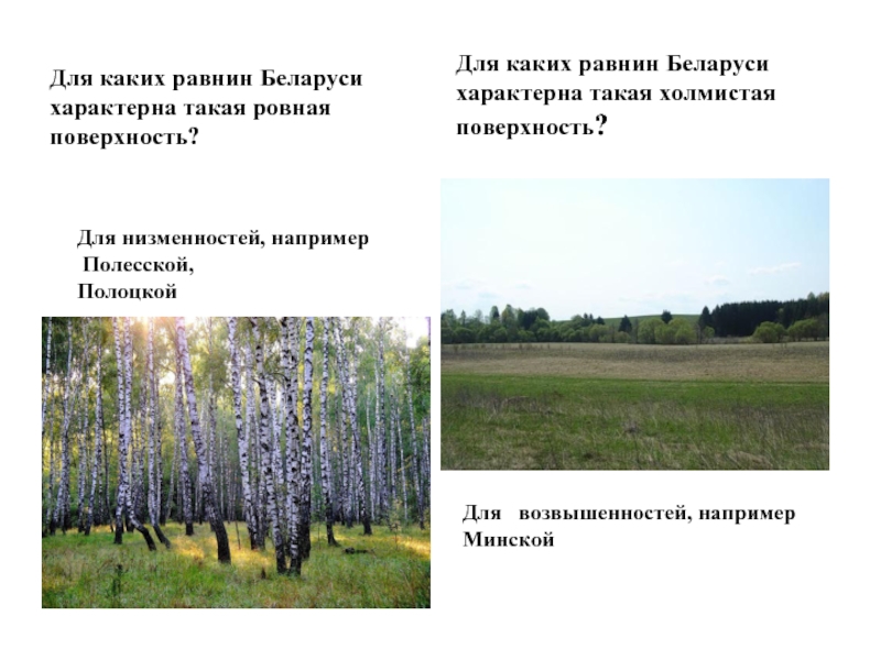 Каких равнин не бывает. Республика Беларусь равнины.