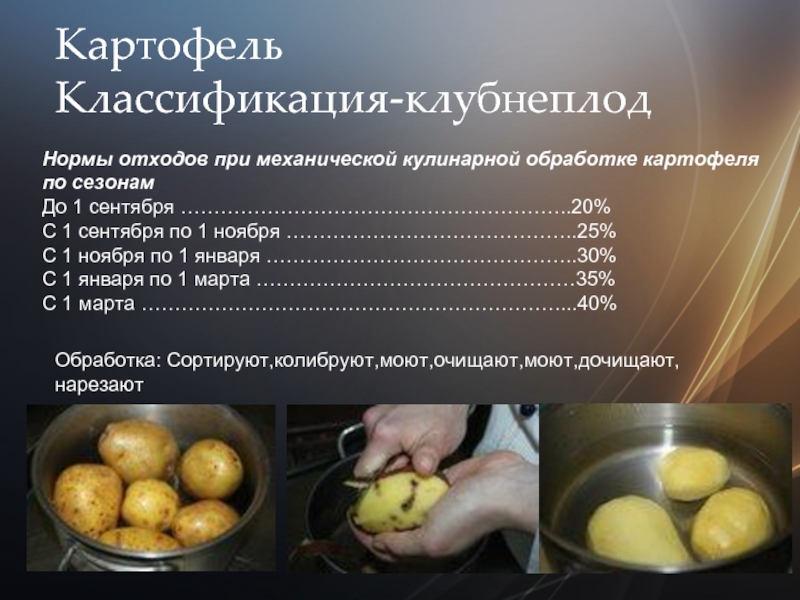 Картофель Классификация-клубнеплод  Нормы отходов при механической кулинарной обработке картофеля по сезонам