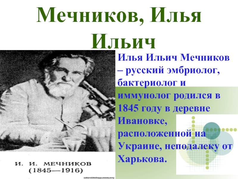 Сайт мечников владивосток. Илья Мечников вакцина. Мечников Илья Ильич цитаты. Мечников Илья Ильич в 1919 году. Высказывания об Илье Мечникове.