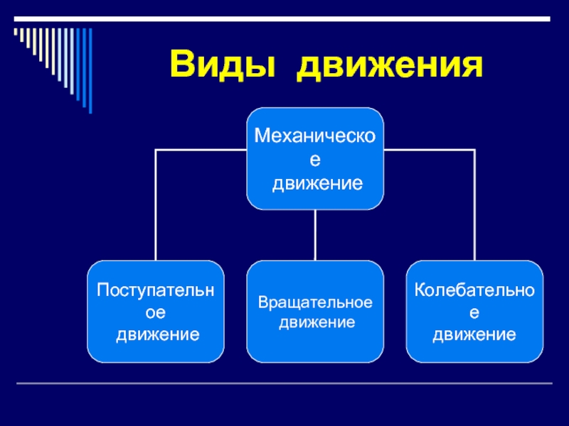 Виды движения камеры