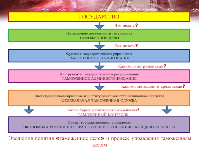 Направление деятельности государства. Эволюция понятия таможенное дело. Морфологическая модель таможенного дела. Морфологическая модель таможенного менеджмента.