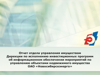 Отчет отдела управления имуществомДирекции по исполнению инвестиционных программ                                    об информационном обеспечении мероприятий по управлению объектами недвижимого имуществаОАО Новосибирскэнерго