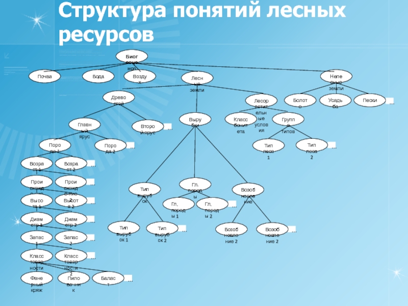 Состав понятий. Структура понятия. Структура лесных ресурсов. Иерархия понятий. Структура понимания.