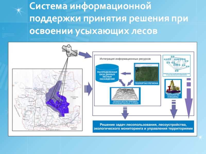 Управляемые территории. Поддержка информационных систем. Подсистема системы лес. При информационной поддержке. Информационная система лесного комплекса.