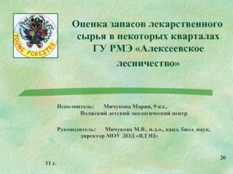 Оценка запасов лекарственного сырья в некоторых кварталахГУ РМЭ Алексеевское лесничество